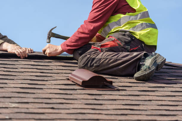 Best Roof Gutter Cleaning  in Pine Mountain, GA